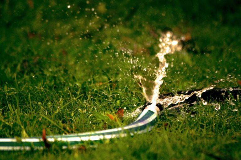 A picture showing a pipe watering lawn