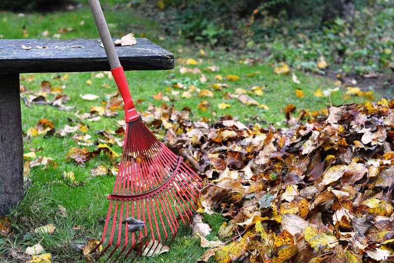 image of a rake propped up next to leaves
