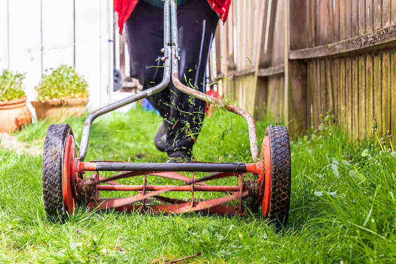 a person using lawn mower in a lawn
