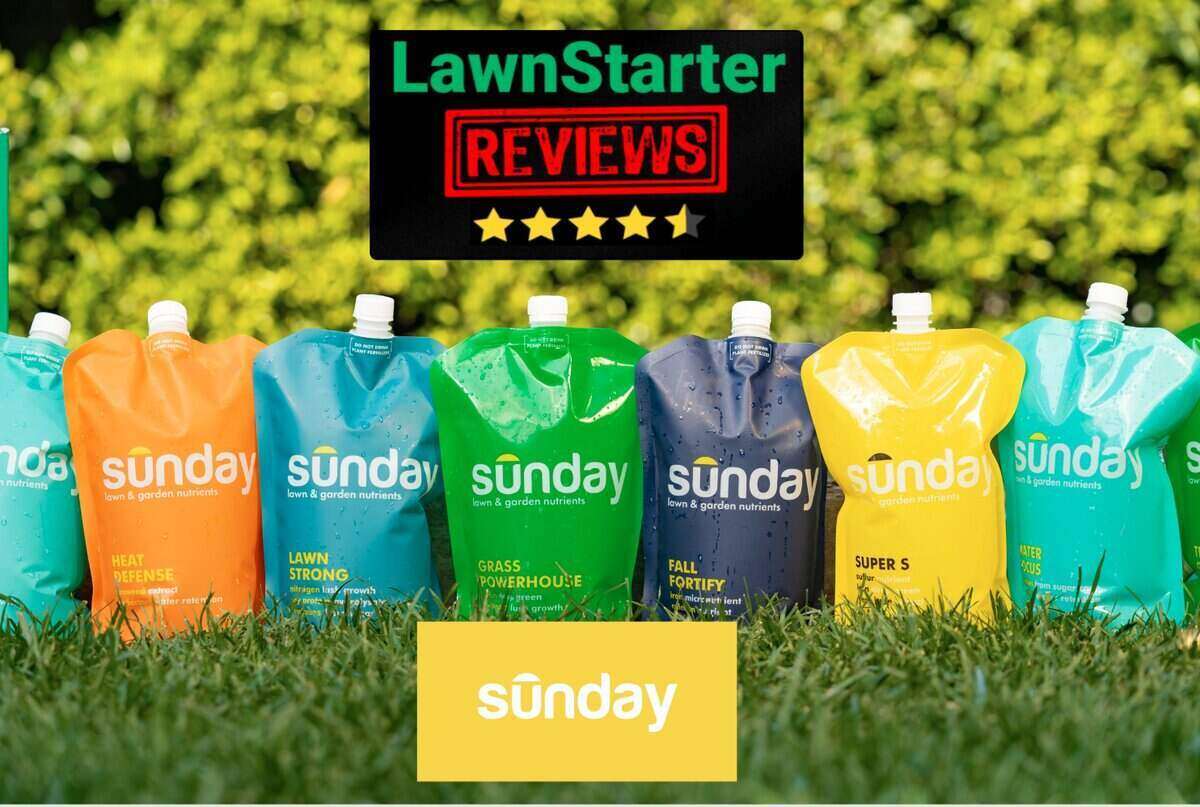 Sunday Review featured image with several Sunday lawn care products in different color bags that can be mounted on a garden hose