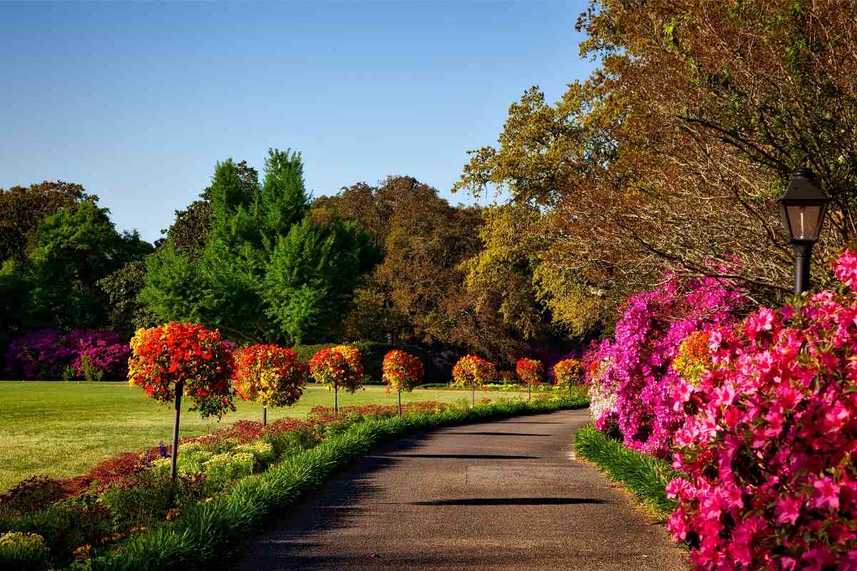Scenic pathway showing vibrant flowers and trees at Bellingrath Gardens in Mobile County in Alabama