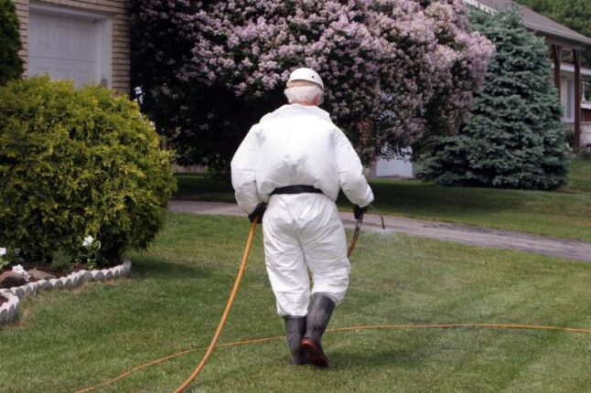 Man in white protective clothes spraying herbicide on lawn