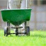 Lawn Fertilization in Arkansas