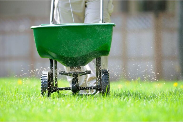 spreader fertilizing grass