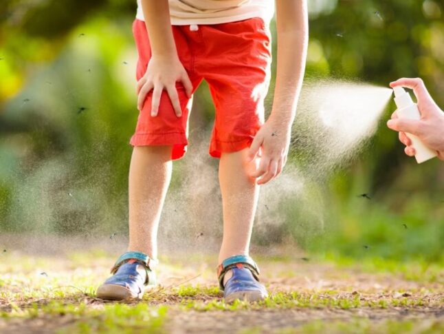 A kid being sprayed by a mosquito repellant spray