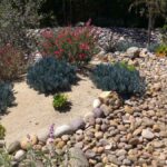 How to Xeriscape in Colorado