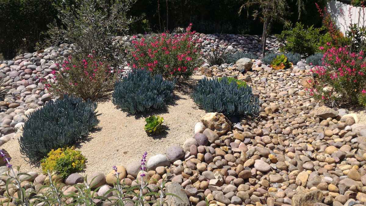 Xeriscaped front yard