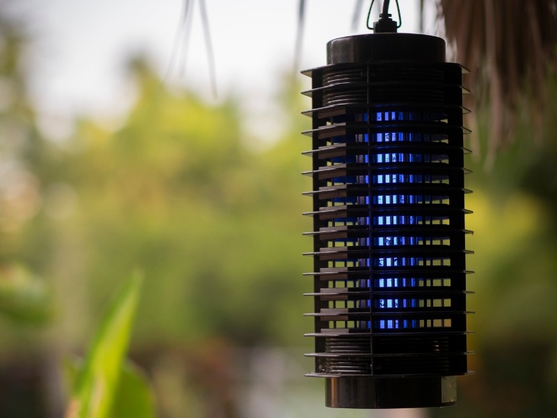 bug zapper hanging