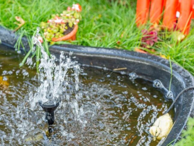 decorative fountain in pond