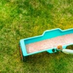 When to Fertilize Lawns in Texas