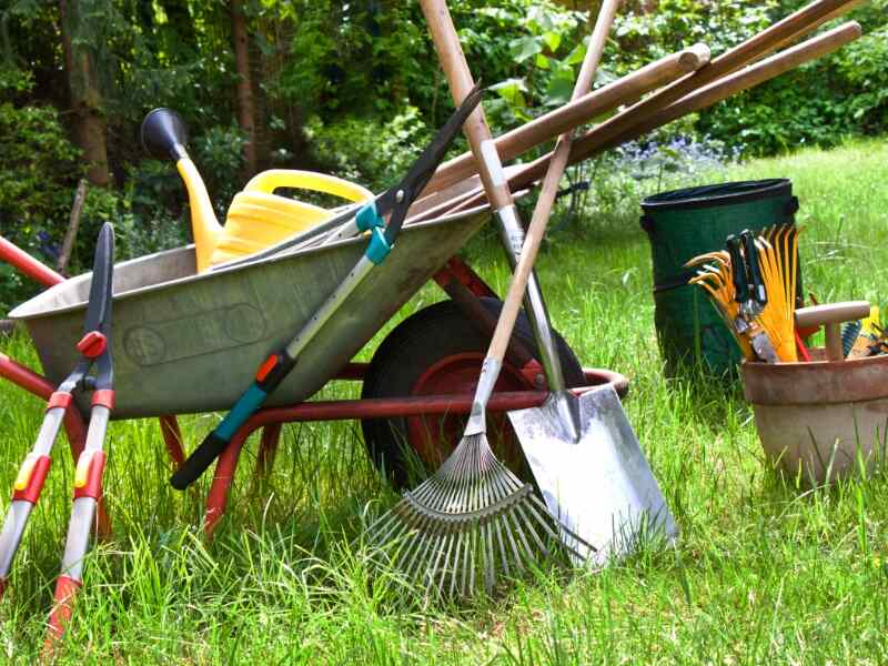 gardening tools and wheelbarrow in yard