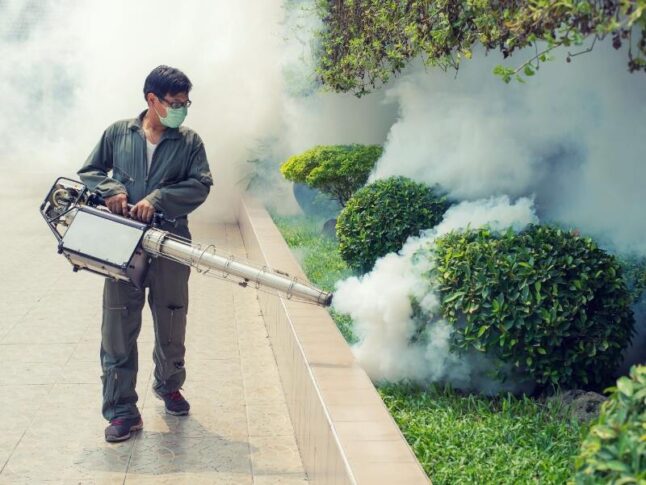 man using fogger to get rid of mosquitoes