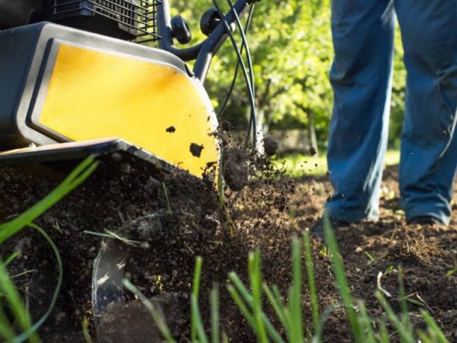 Man tills soil with motor cultivator