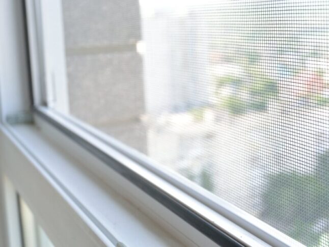 window screen