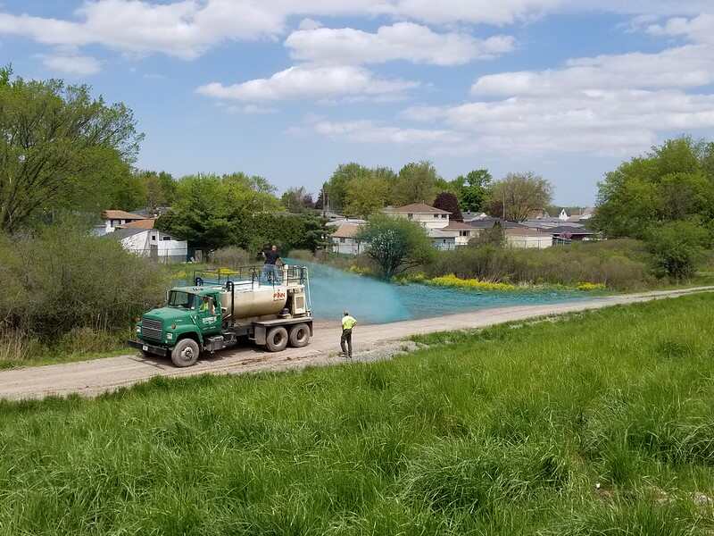 workers hydroseeding a backyard