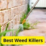 12 Best Weed Killers of 2023 [Reviews]