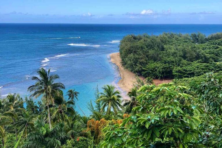 Aerial view of Hawaiian coast