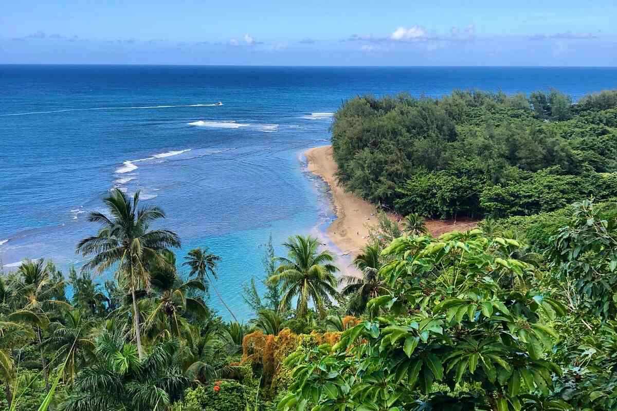 Aerial view of Hawaiian coast