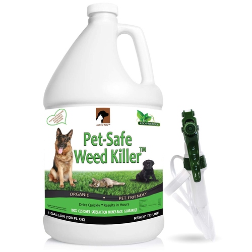 11 Best Weed Killers for Flower Beds of 2023 [Reviews]