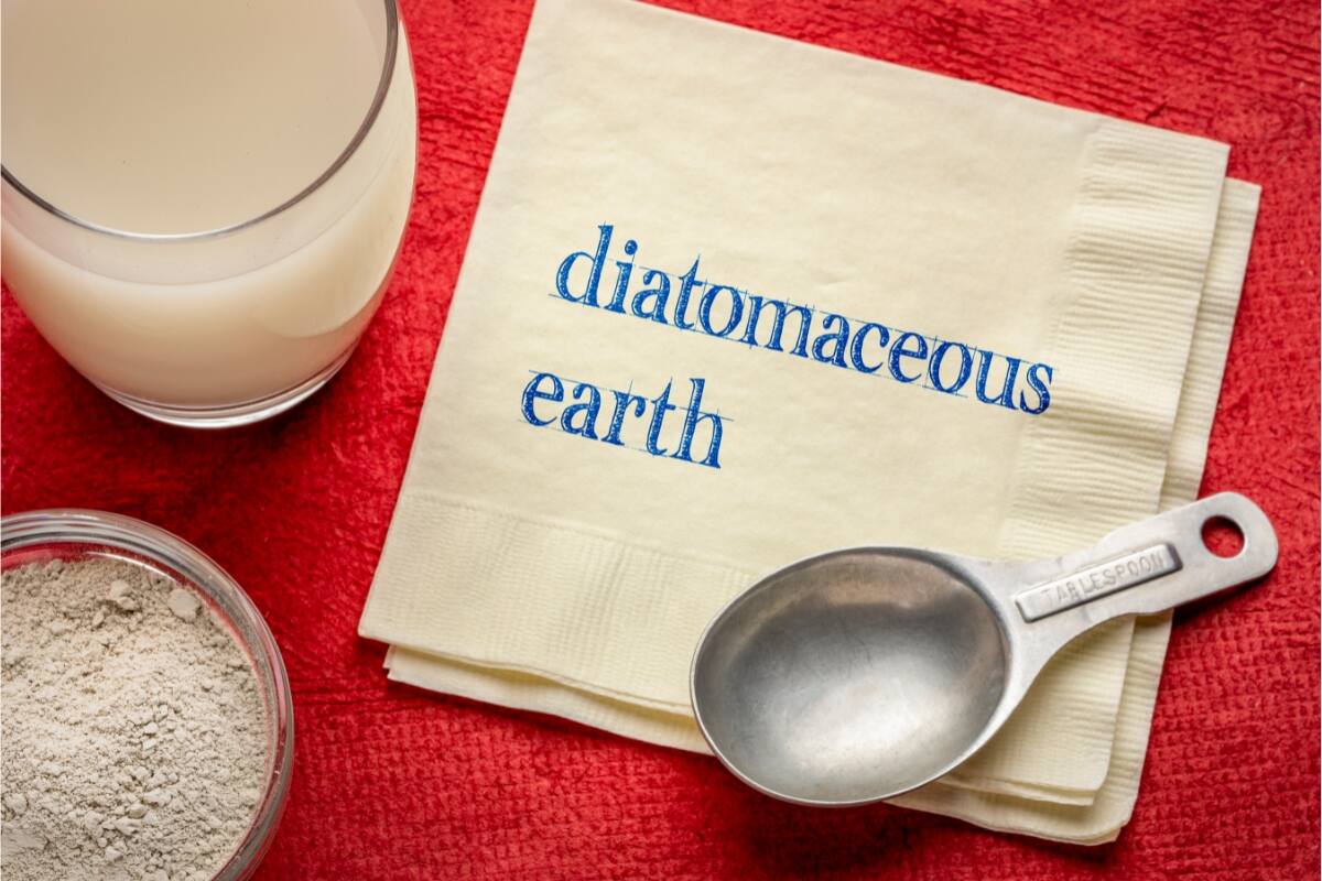 diatomaceous earth written on a napkin