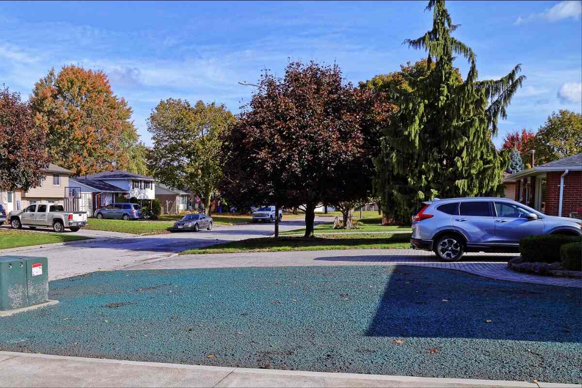 hydroseeded lawn in a front yard