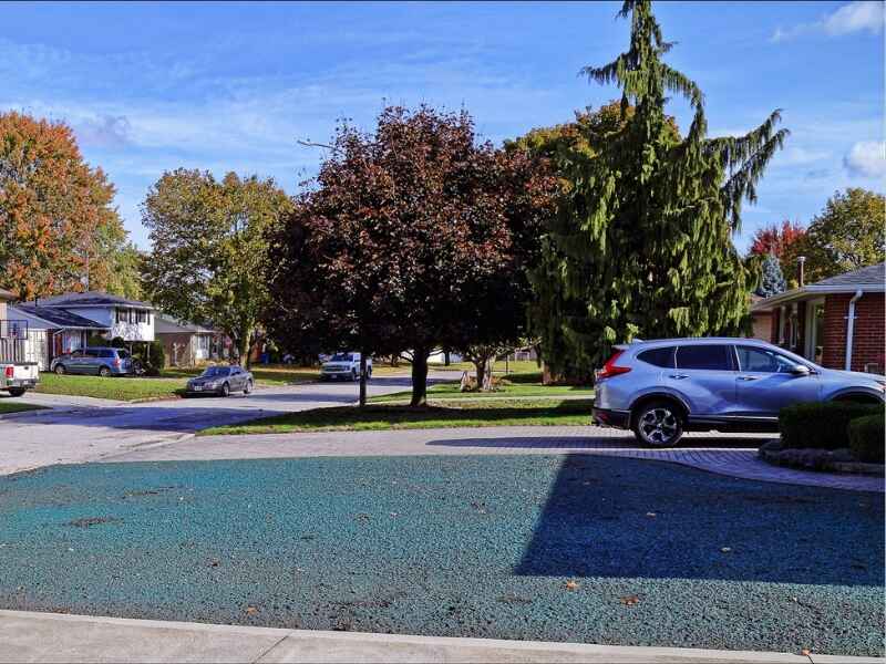 hydroseeded lawn in a front yard