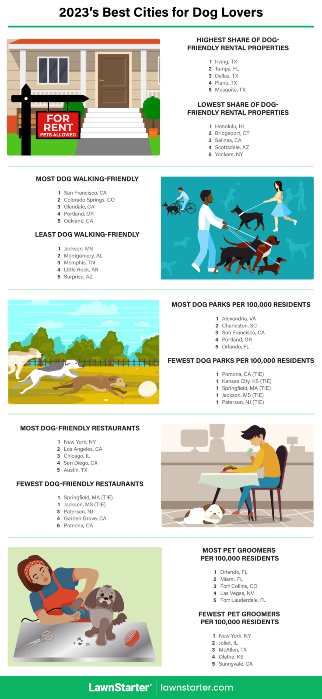 2023's Best Cities for Dog Lovers LawnStarter Blog