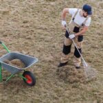 What is Thatch in Your Lawn?