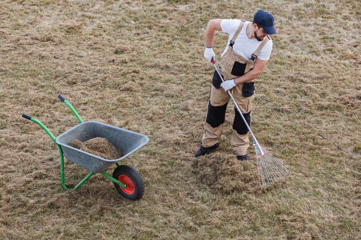 worker raking up thatch from a yard