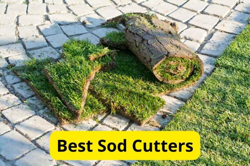 The 6 Best Sod Cutters of 2025 [Reviews]