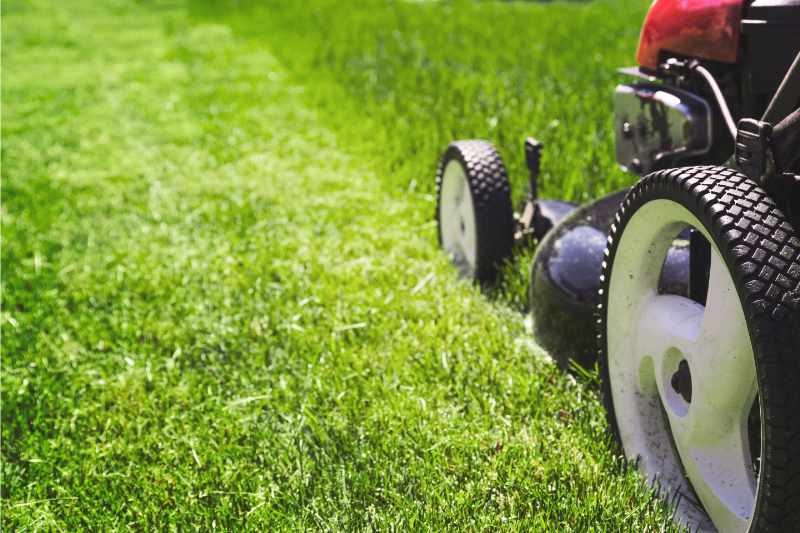 person mowing a lawn