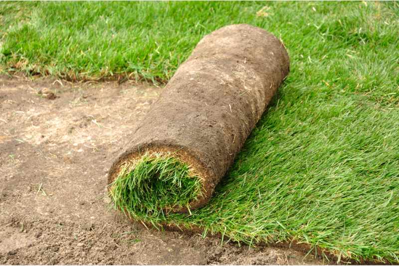 sod layer on a ground