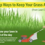How to Keep Your Grass Alive in Record Heat (Tips from LawnStarter Pros)