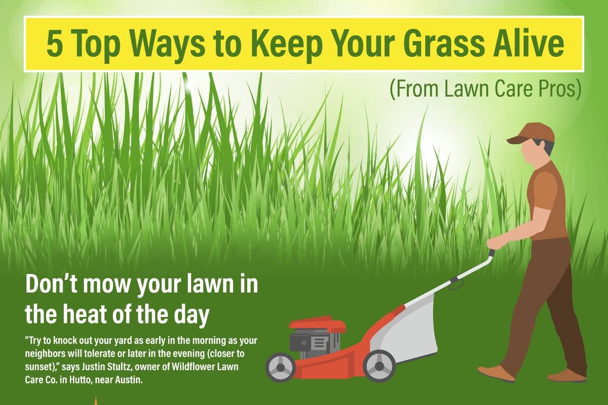 Top ways to keep your grass alive infographic