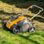 What is Thatch in Your Lawn?