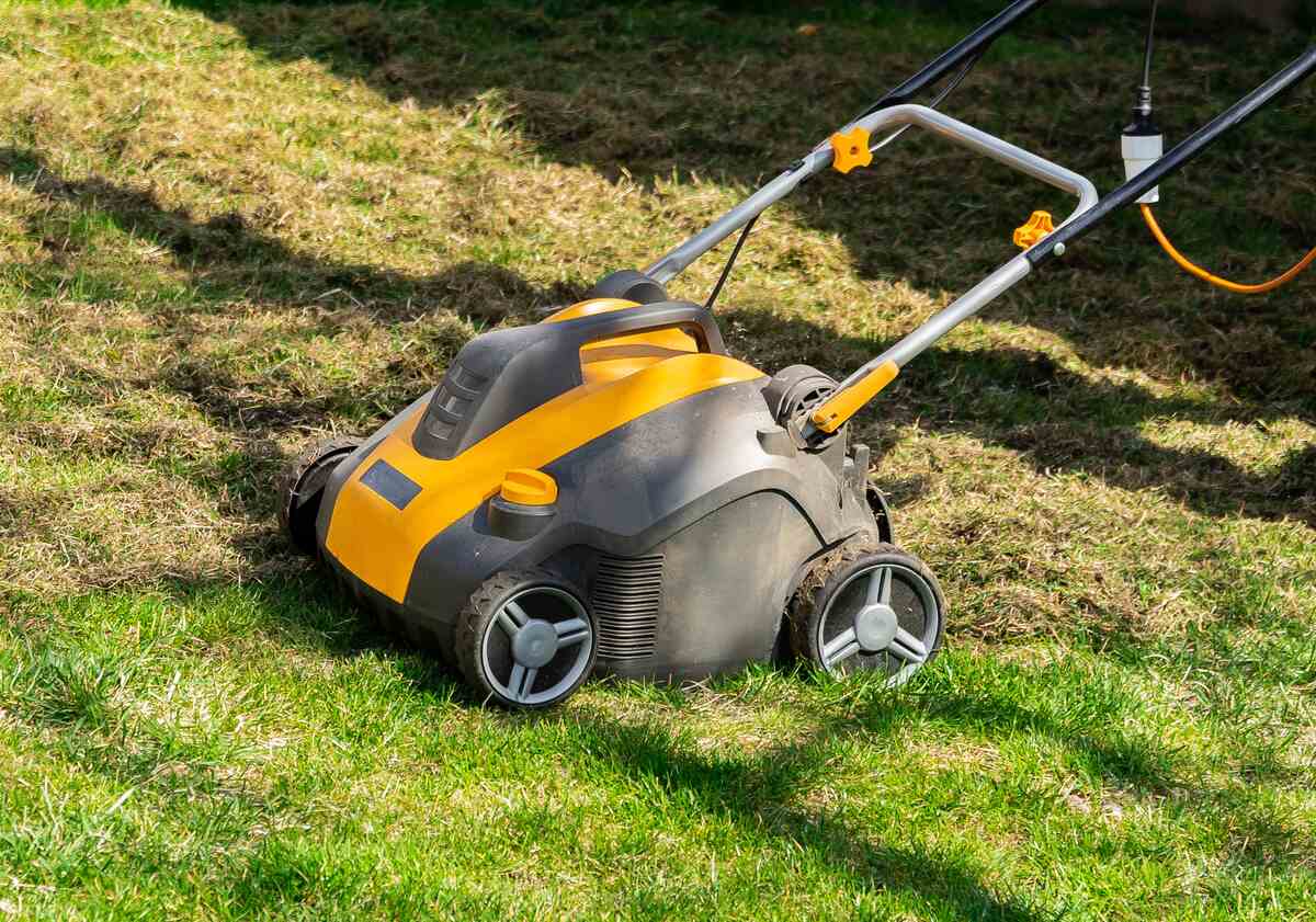 Dethatching the Lawn with an Electric Dethatcher