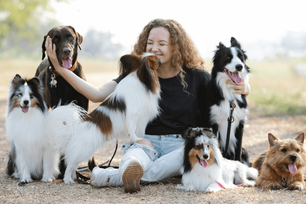 A young woman sits on the ground with her six dogs, one of them licking her face.