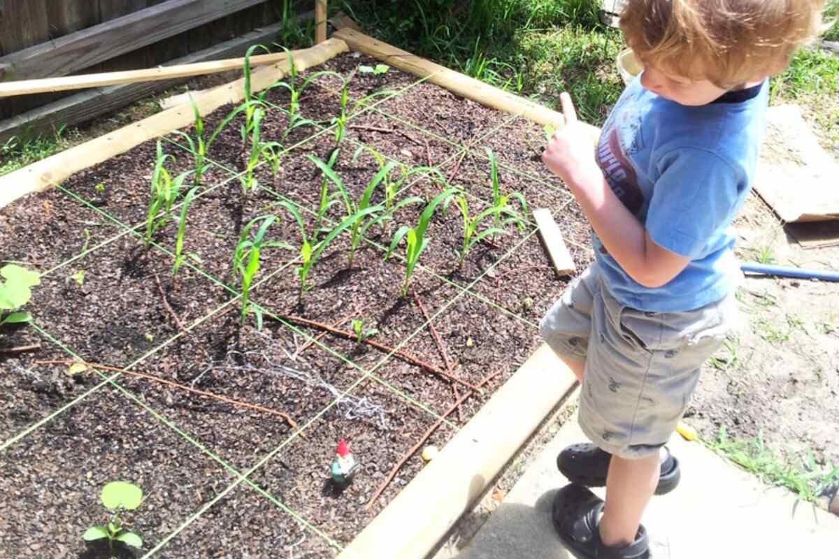 three sisters square foot garden