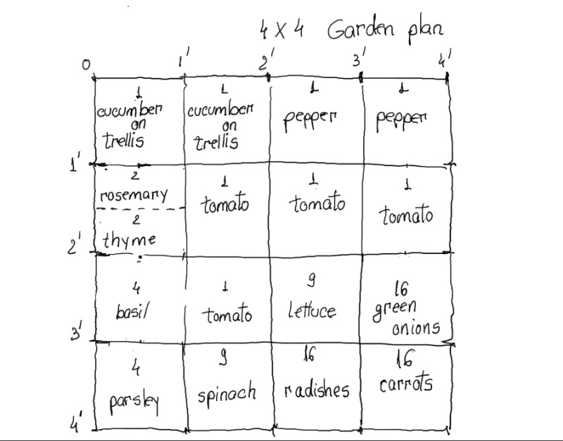 4 x 4 Garden plan