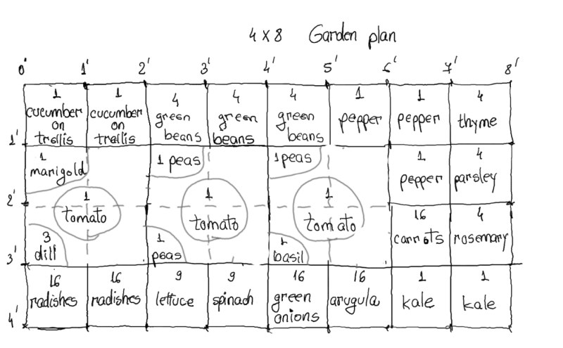 4 x 8 Garden plan
