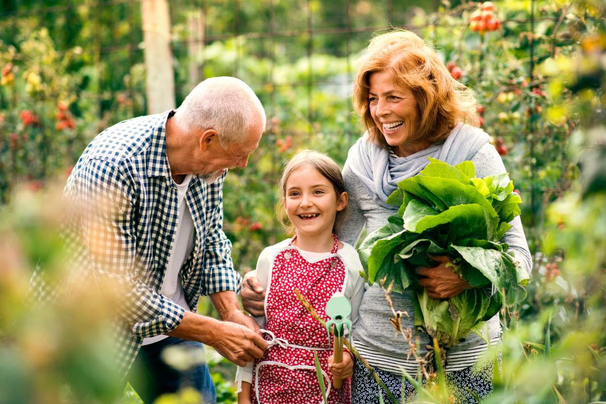 Grandparents with grandchild working and smiling in the backyard vegetable garden