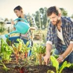 How to Water a Vegetable Garden From Seedling to Harvest