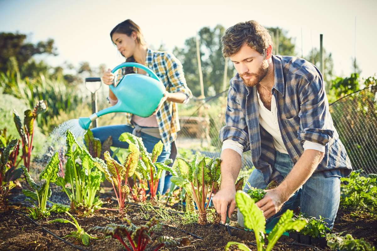 Man planting in a garden an a woman watering