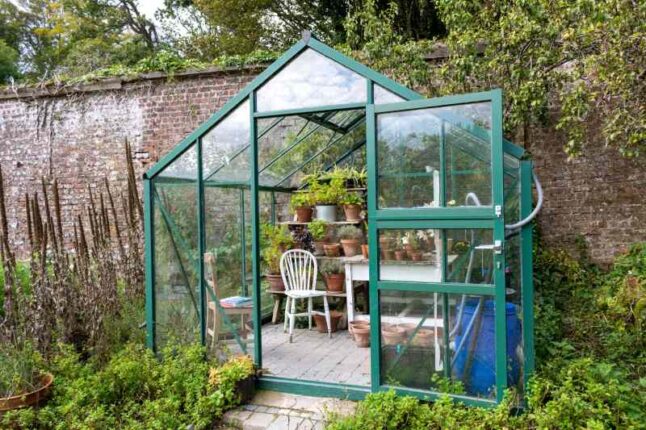 A greenhouse with plants, table and chairs