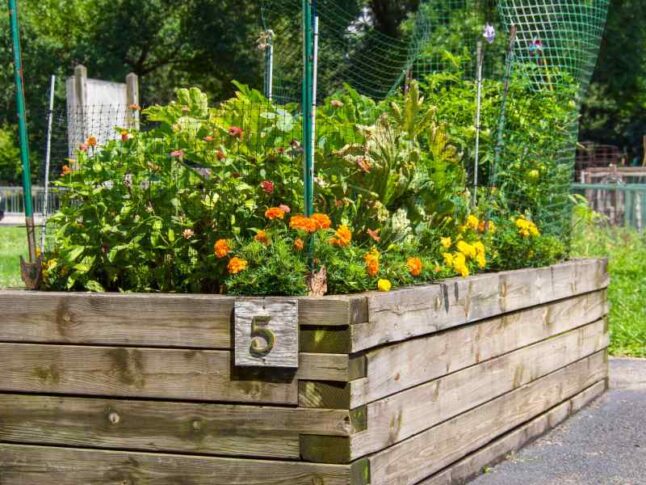 Raised bed garden