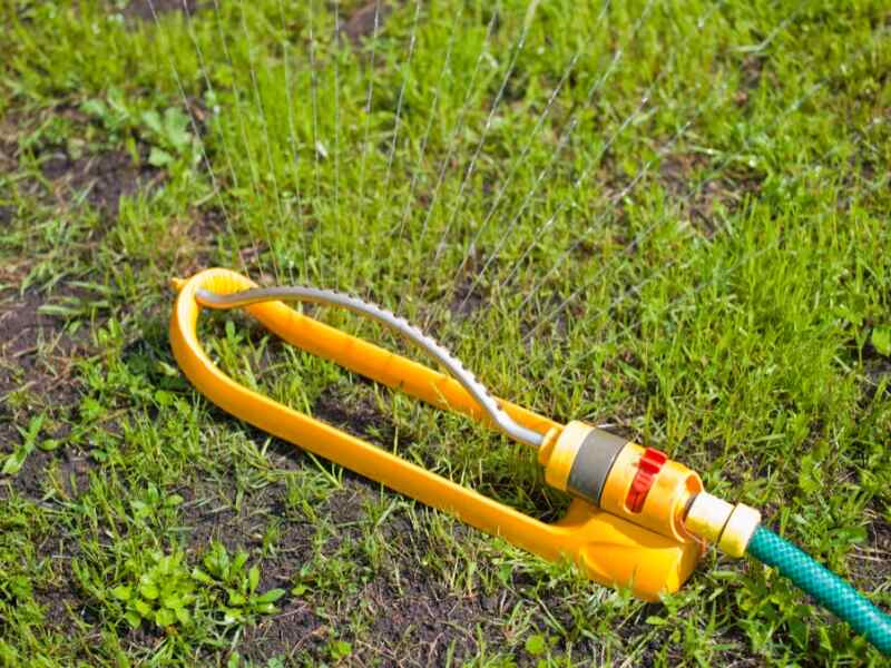 sprinkler watering new grass