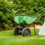 How to Weed and Feed Your Lawn