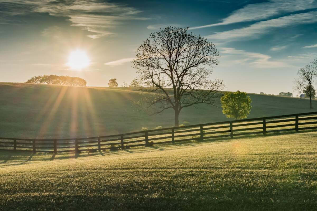 Sun shines over rolling Kentucky field
