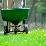 How to Weed and Feed Your Lawn