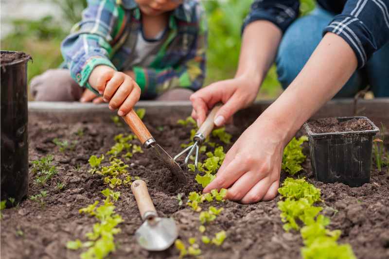 child and mother planting vegetables in a garden